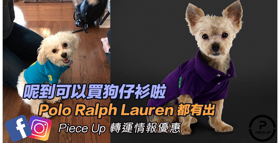給你愛狗一件衫 -polo Ralph Lauren 