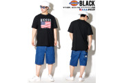 Dickies Relaxed Fit American Flag Graphic Tee